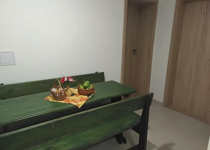 호스텔 Janka Handlová