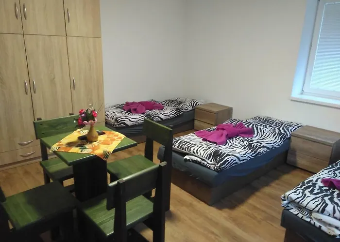 호스텔 Janka Handlová